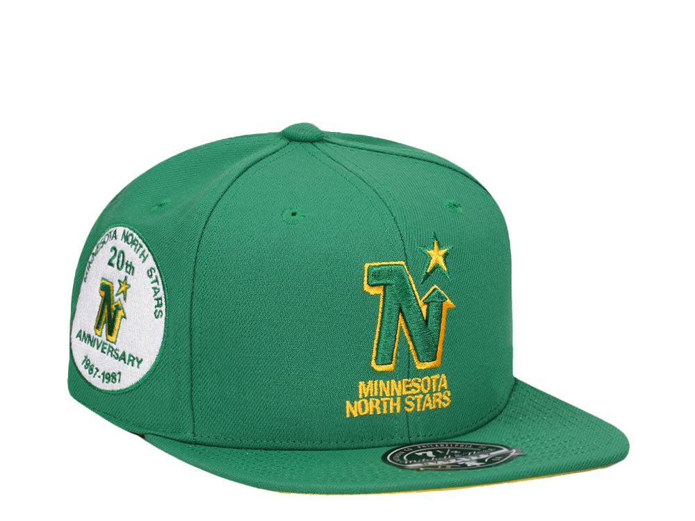 Mitchell & Ness Minnesota North Stars 20th Anniversary Vintage Edition Dynasty Fitted Casquette