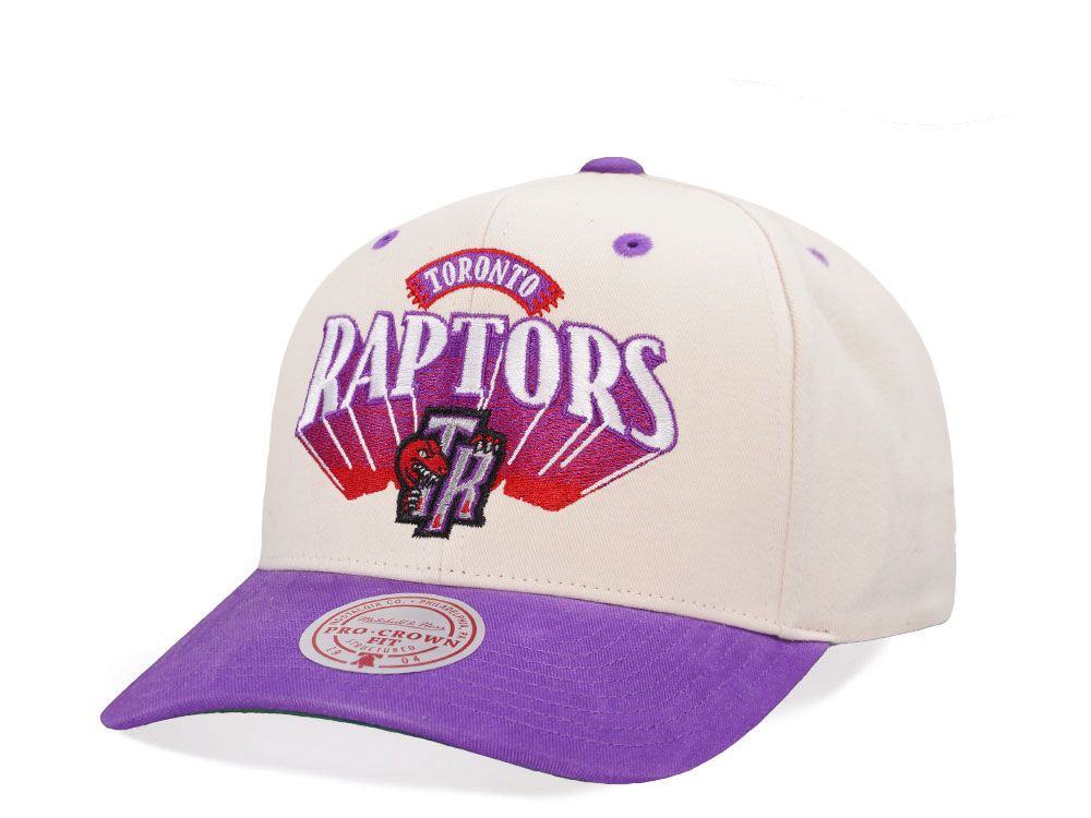 Mitchell & Ness Toronto Raptors Horizon Two Tone Pro Crown Fit Snapback Casquette