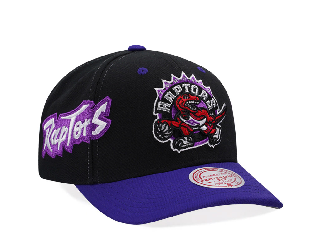 Mitchell & Ness Toronto Raptors Hardwood Classic Pro Crown Fit Snapback Casquette